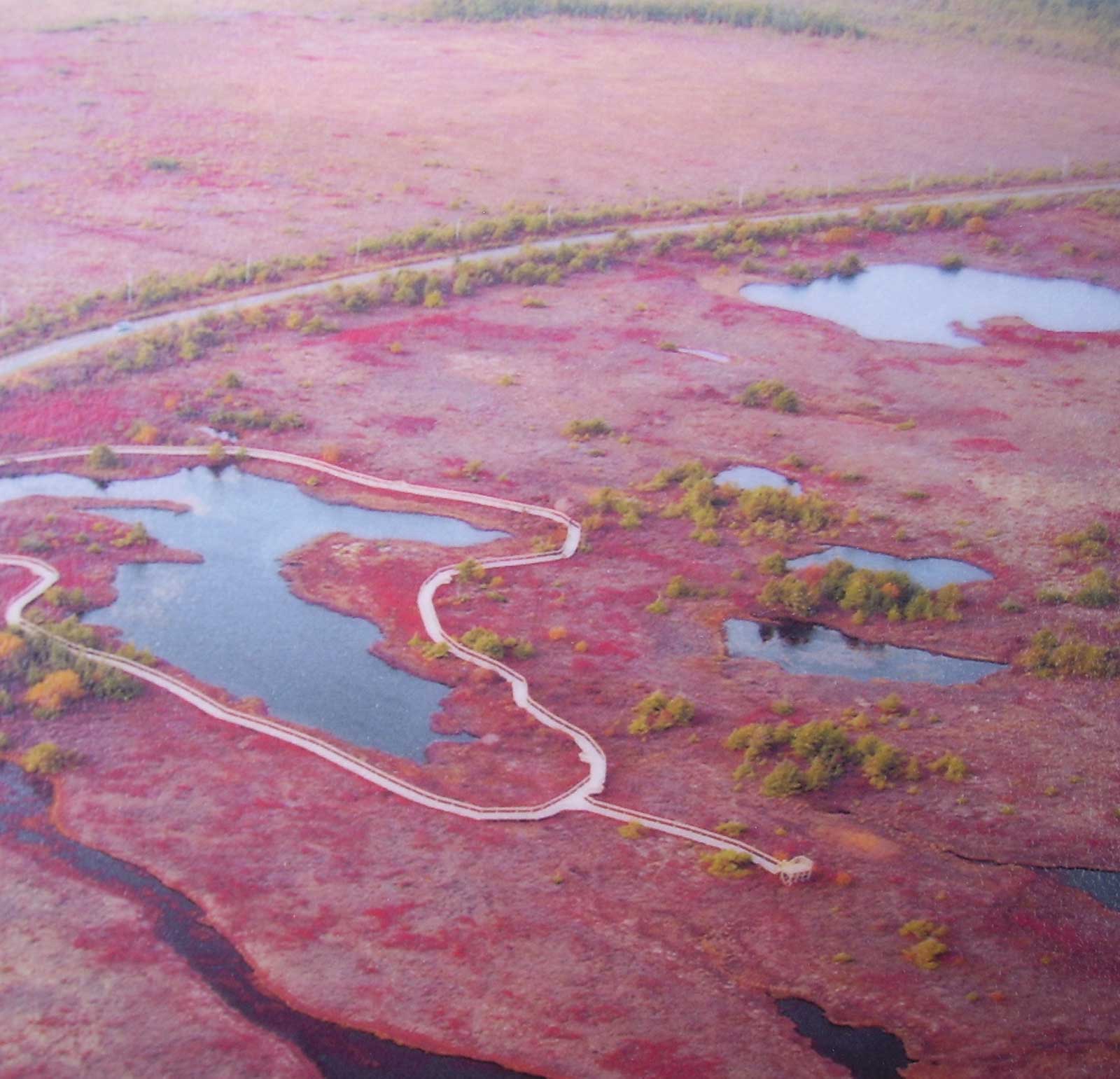saisons-pei