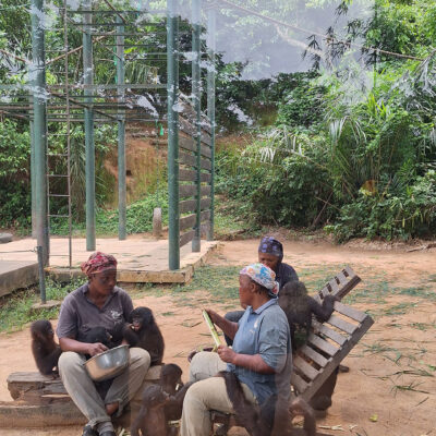 BONOBOS-ACCOMPAGNEMENT-LONG-TERME