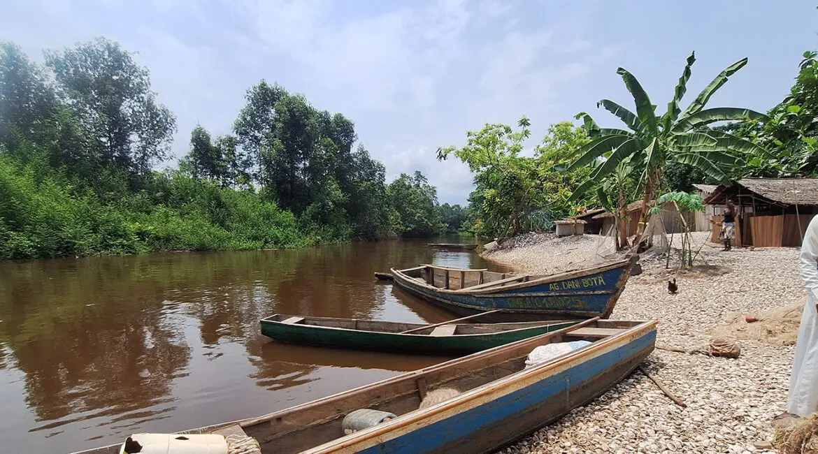 Découvrez l'Île aux Coquillages du Parc National des Mangroves