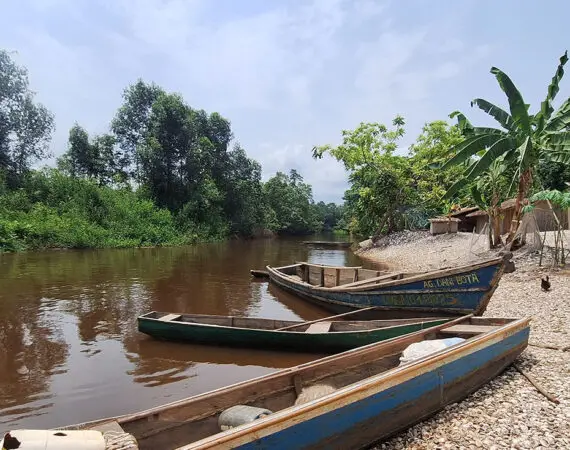 Découvrez l'Île aux Coquillages du Parc National des Mangroves